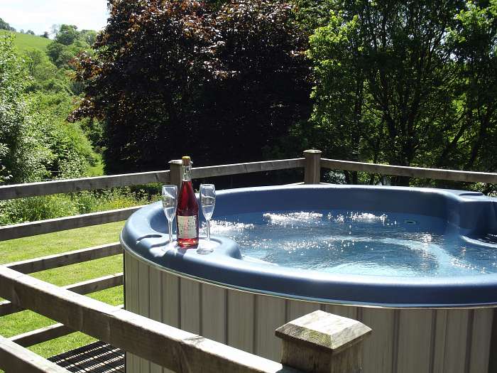 Meadow View & Cefn-nant - Private hot tub with small lawn in Cefn-nant lodge sleeping 4